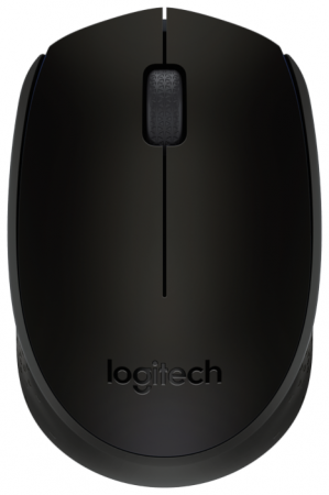 Мышь беспроводная Logitech M171 (черный)